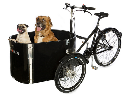bike cart for dogs